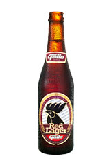 El gato que bebía cerveza