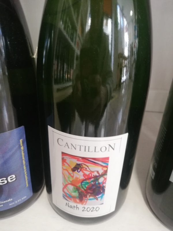 El gato que bebía cerveza